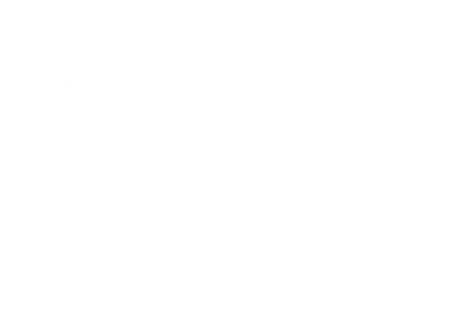 Port Protect - Logo - white - transparent